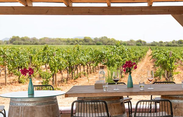 Wine bar al aire libre con vistas a los viñedos de Bodegas Bordoy