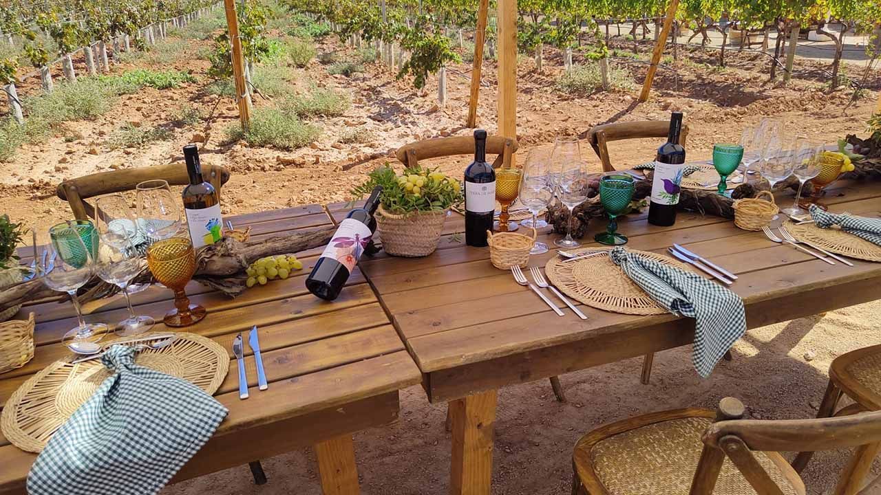 Mesa entre viñedos para eventos empresariales en Bodegas Bordoy