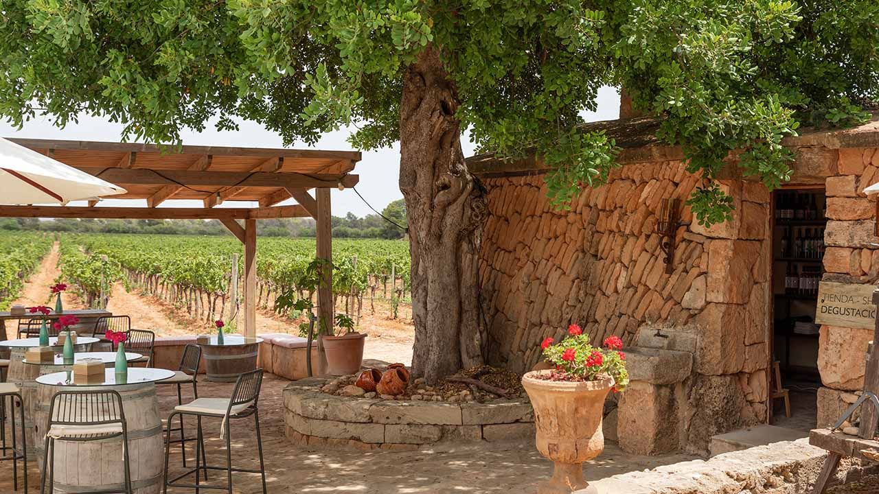Terraza y tienda de vinos de Bodegas Bordoy con vista a los viñedos