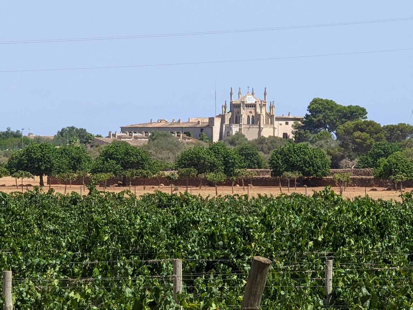 Viñedos con la capilla neogótica de la Finca Sa Torre al fondo