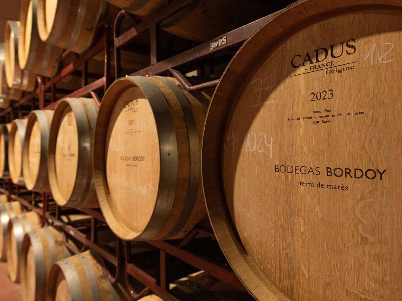 Barricas de roble francés con grabado Bodegas Bordoy en la bodega de crianza