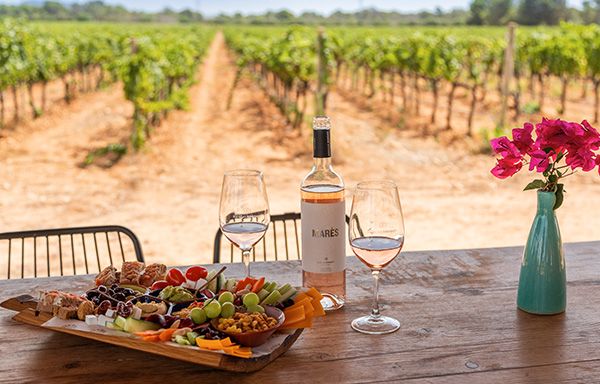 Cata de vinos con tapas y vista a los viñedos en Bodegas Bordoy